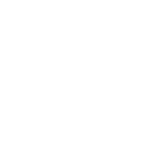 GaLEWoLF12's emblem