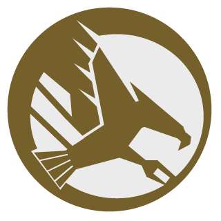 Paradoxity's emblem