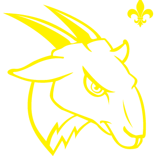 donomex165's emblem