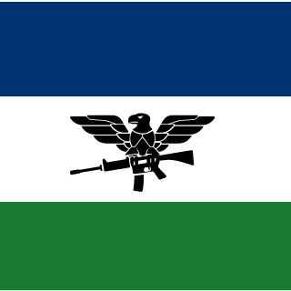 MiniJ3ster's emblem