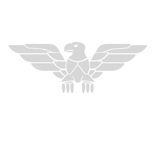 SauterPlays's emblem