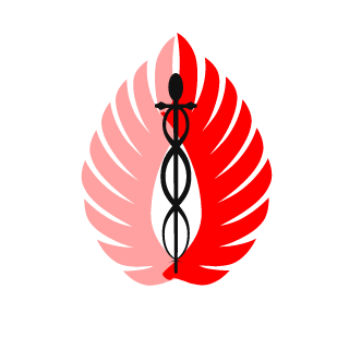 Lethalboy98's emblem