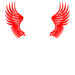 Napolitanwarrior's emblem