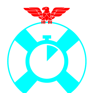 RobloccVirgin's emblem