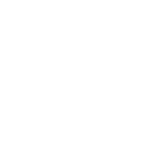 RP0Ninja's emblem