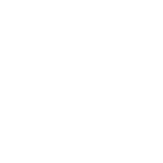 2man2army's emblem