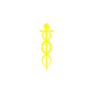 Dro613's emblem