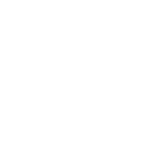 mashina2077's emblem