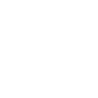Axterisk1401's emblem