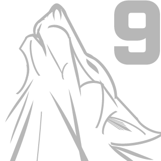 DerGrafRus's emblem