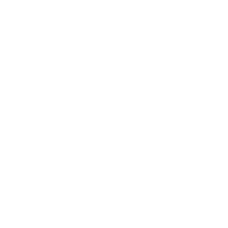 vykingars's emblem