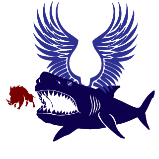 killerStorm7pr's emblem