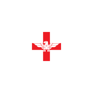 sinned47's emblem