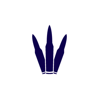 pyroman52's emblem