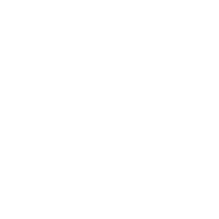 NSWP14's emblem