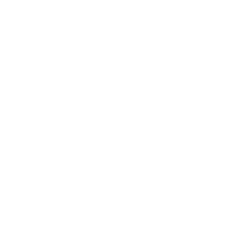 19fdd19df8553fbc's emblem