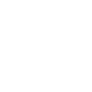 Skailan_1997's emblem