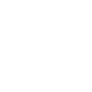 LittleDictator77's emblem