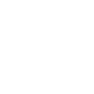 Wasbeer's emblem