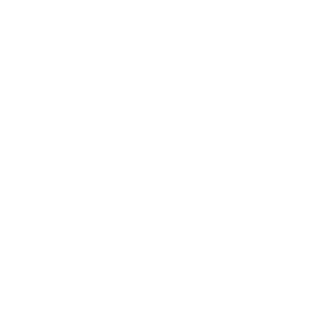 IIBugBusterII's emblem