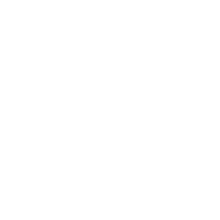 MonsoonXI's emblem