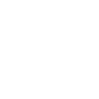 Cyber-jopa's emblem