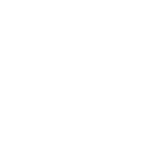 Prankz010's emblem