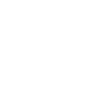 1LLogical's emblem
