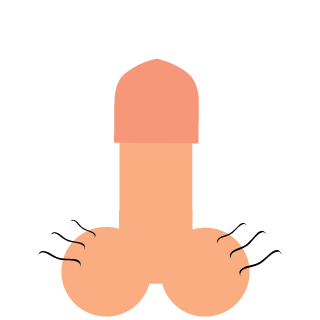 TheTexasToast's emblem