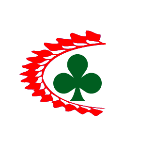 brute5804's emblem