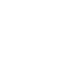 Z0T4R's emblem