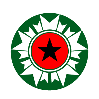 B N History's emblem
