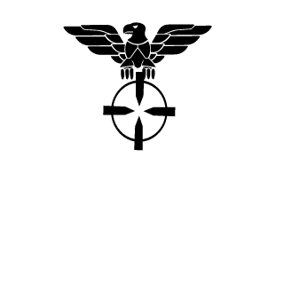 nlashawn1000's emblem