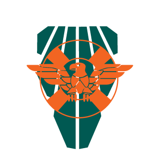 fabio02volo's emblem