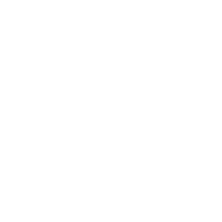V4lsory's emblem