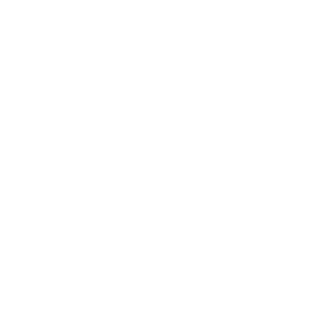 Mechanik_07's emblem