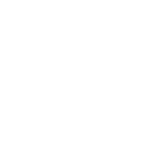 WHOISTOP's emblem
