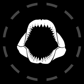 itsAwesomeeee's emblem