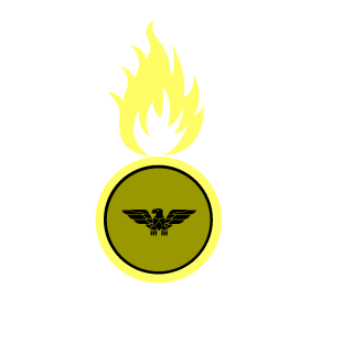 NnicoO576's emblem