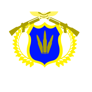 FlareXV's emblem