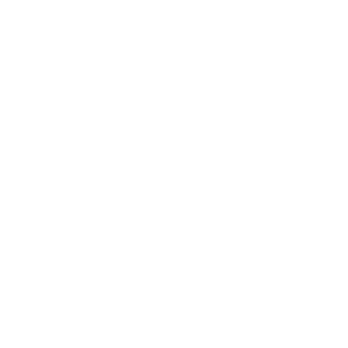Defaul1t999's emblem