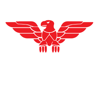 DarkFalcon_F05's emblem