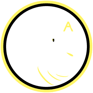 ArcCirDude's emblem