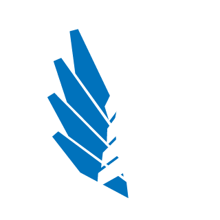 BladerKoyotte's emblem
