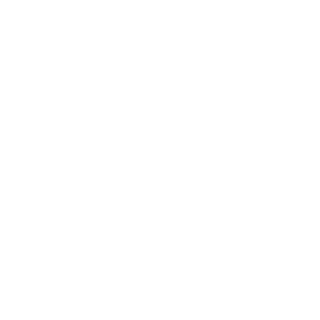 Zet-119's emblem