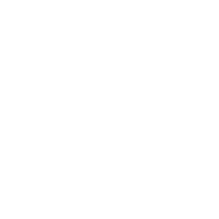 FORTA9800's emblem