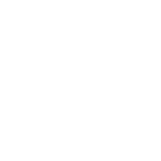 Spacemuffins9's emblem