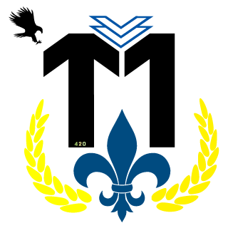 DarthFro's emblem