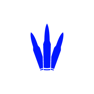 Cloak2005's emblem
