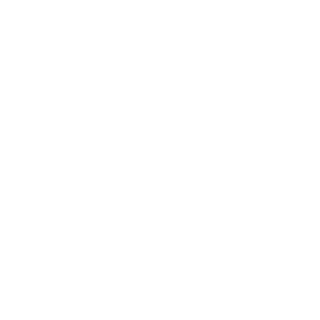 Johnnyzoid's emblem